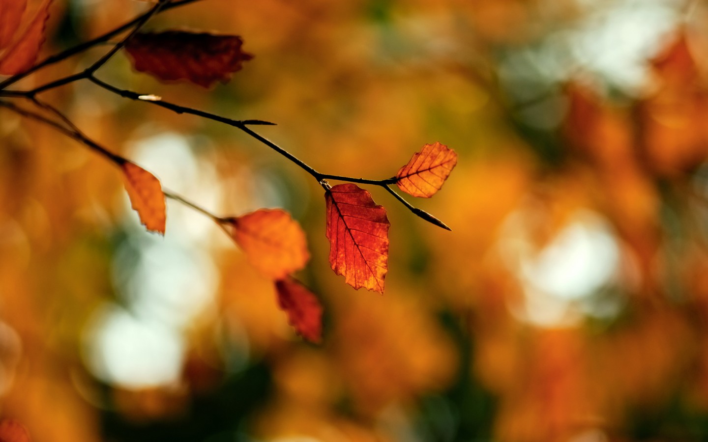 人与人之间最远的距离是阴阳相隔,人与人说话要保持一米以上的距离