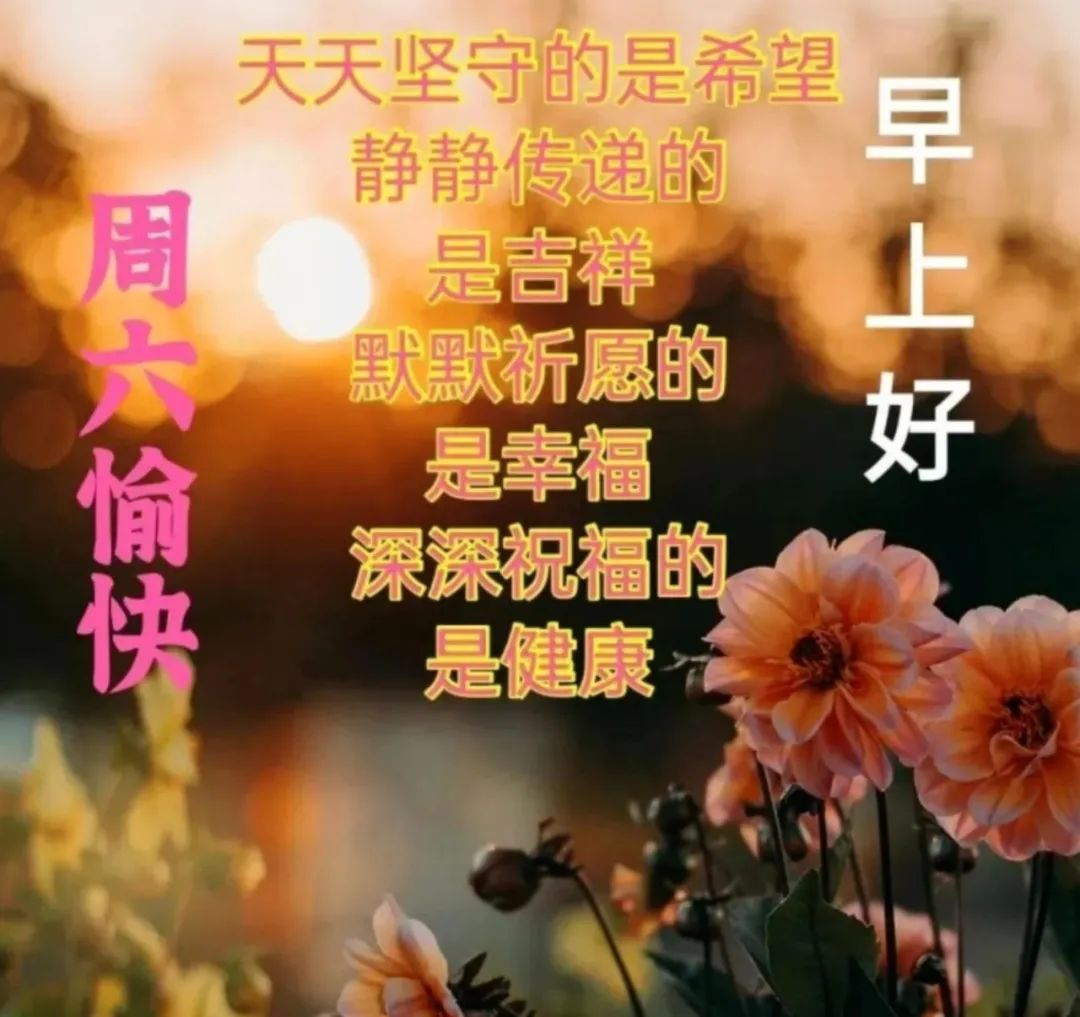 九月早上祝福,九月九早上好的祝福视频