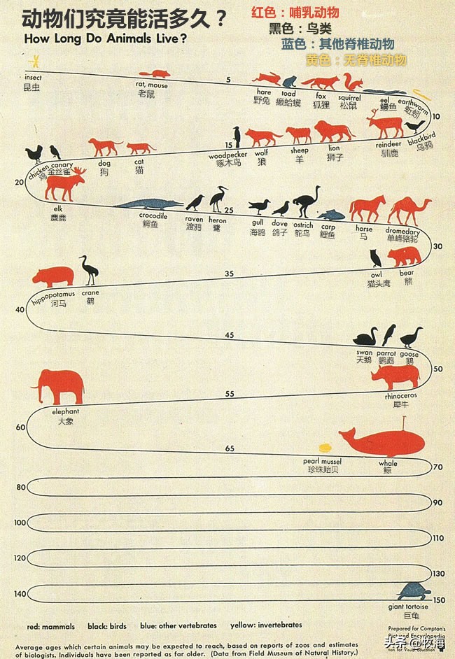 麻雀的寿命大约能活到多少,麻雀的寿命最长能活多少年