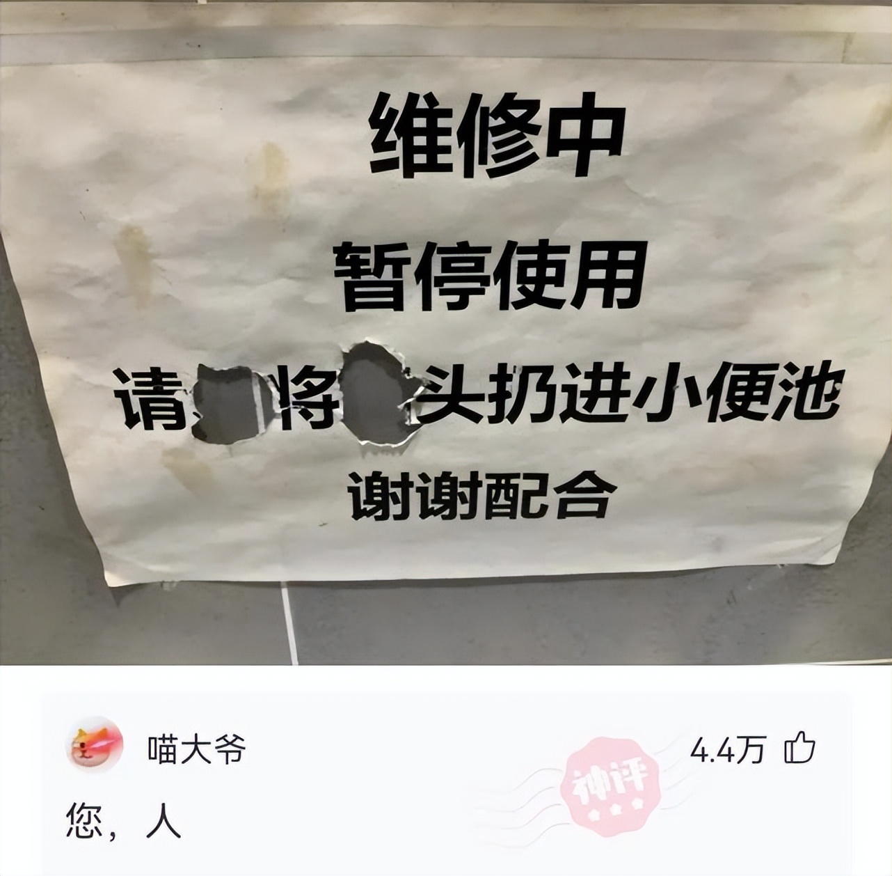 神回复都是在哪里找的,神回复你叫什么名字