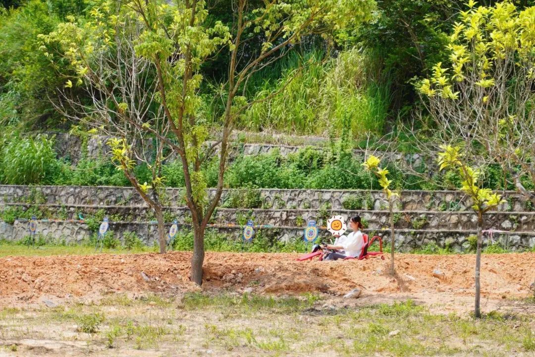 岭南景区民宿,岭南式民宿