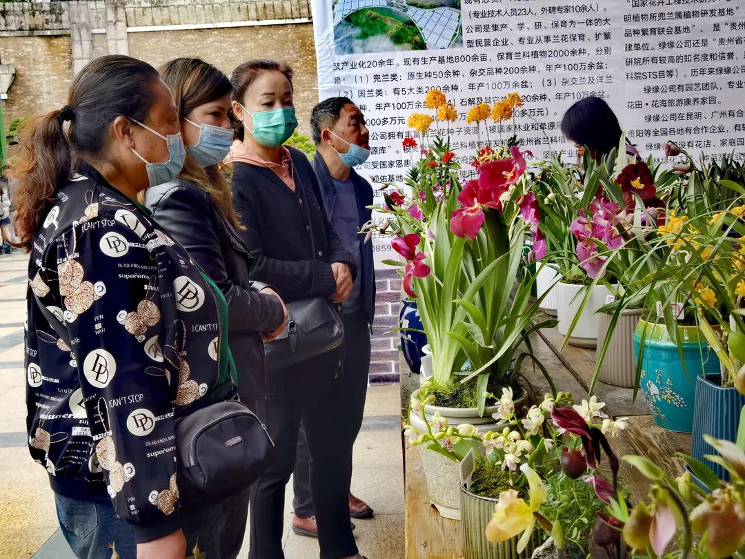 必去的花溪公园,假期余额不足游玩依旧火热