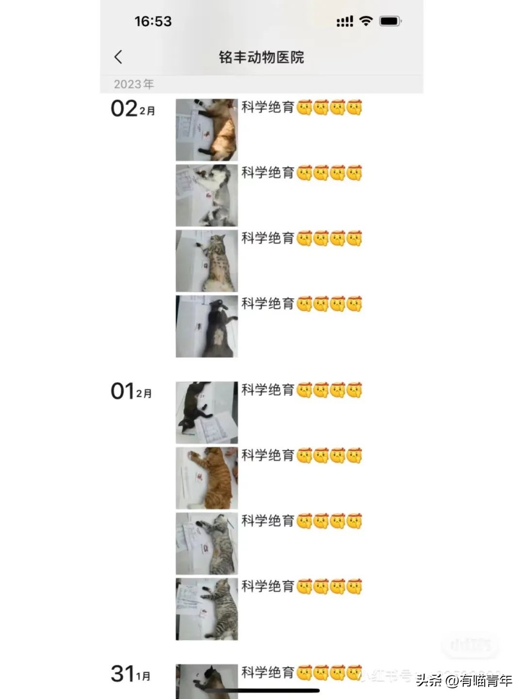 公猫出去一天一夜了都没回家,公猫出去三天没回来了