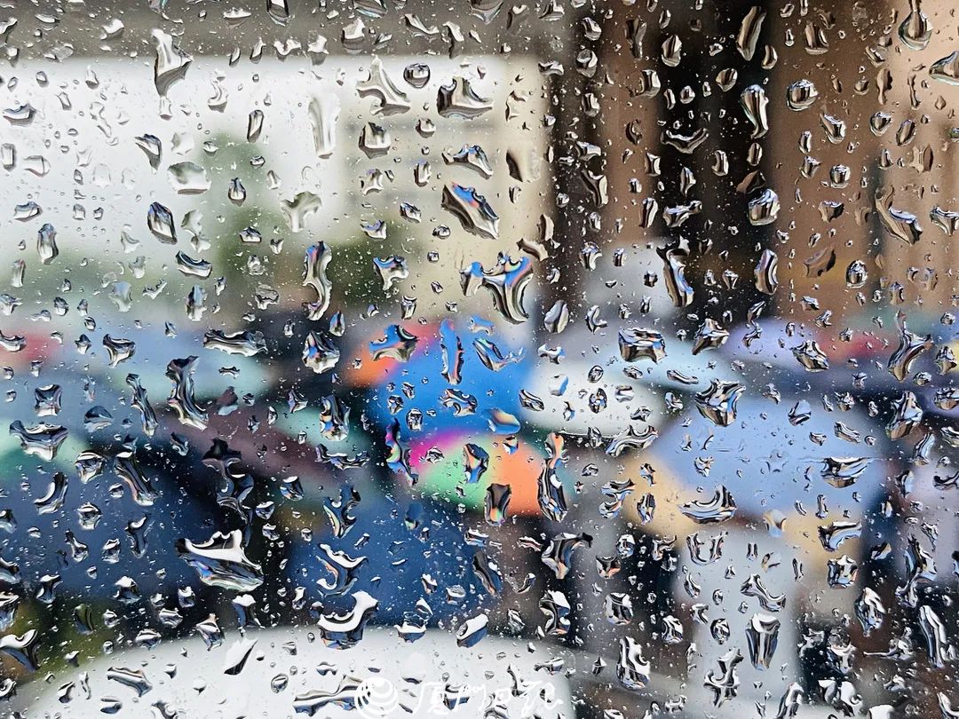 厦门全年气候温度表格,厦门全年湿度一览表