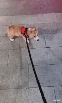 每日一笑闺蜜交了新男朋友,每日一笑之闺蜜交了新男朋友