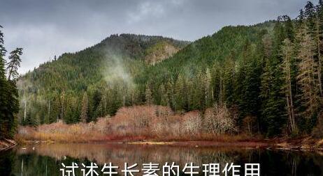 植物生长素的作用特点是什么,植物生长素的生理效应