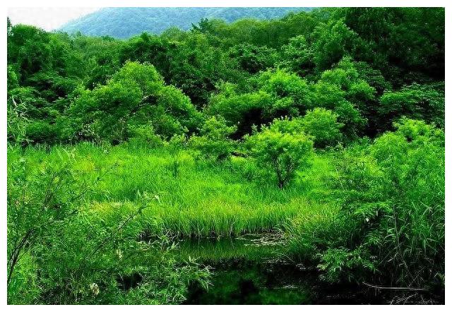 古代志怪传奇故事：韦氏