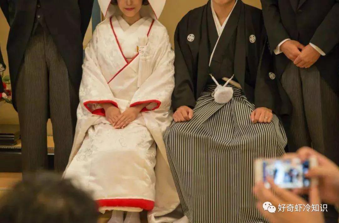 珊瑚岛的形成需要什么条件,珊瑚岛是怎样形成的