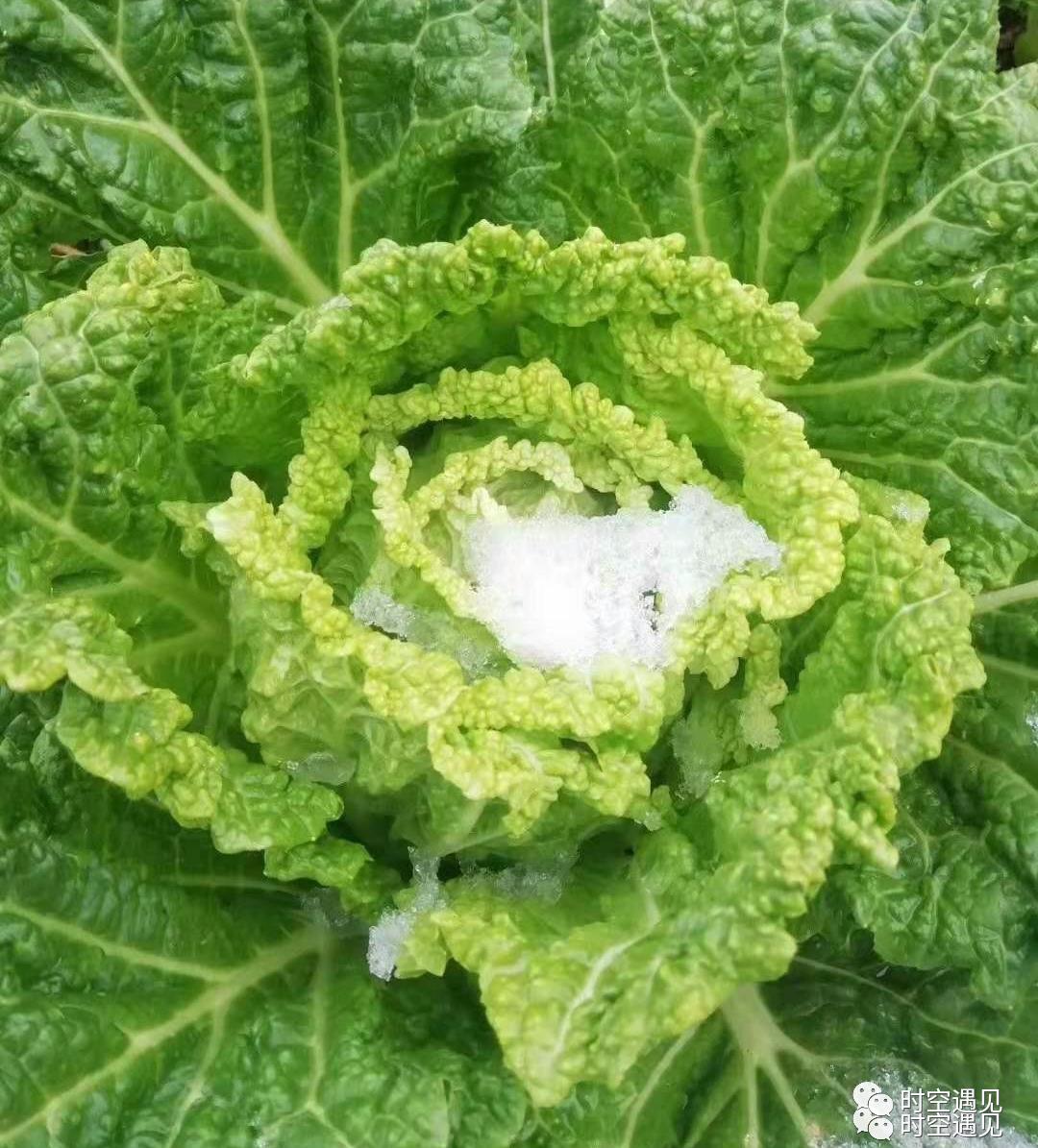 西江最美苗寨旅游,西江千户苗寨最美