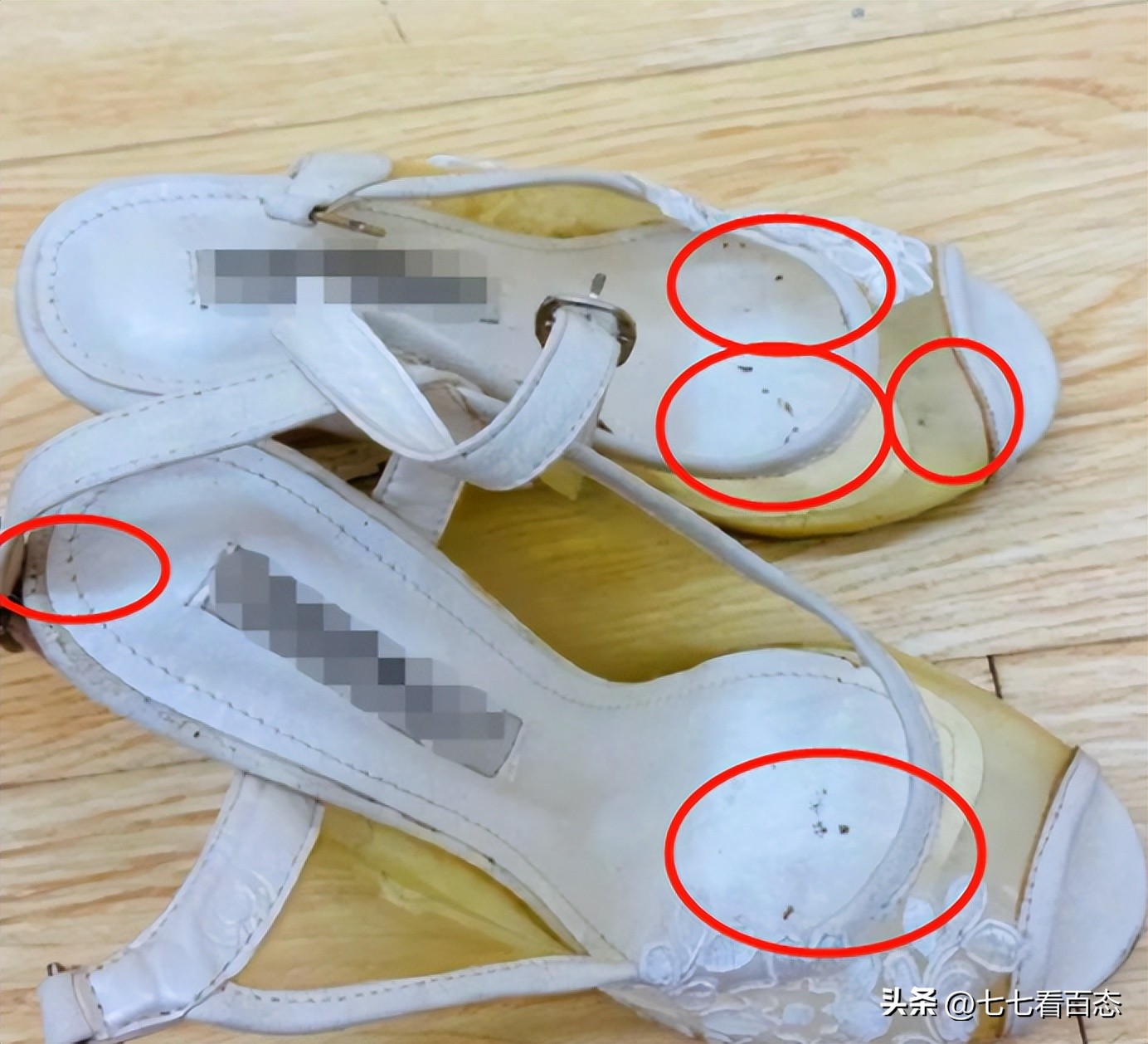 沈梦辰伊能静秦昊,沈梦辰伊能静