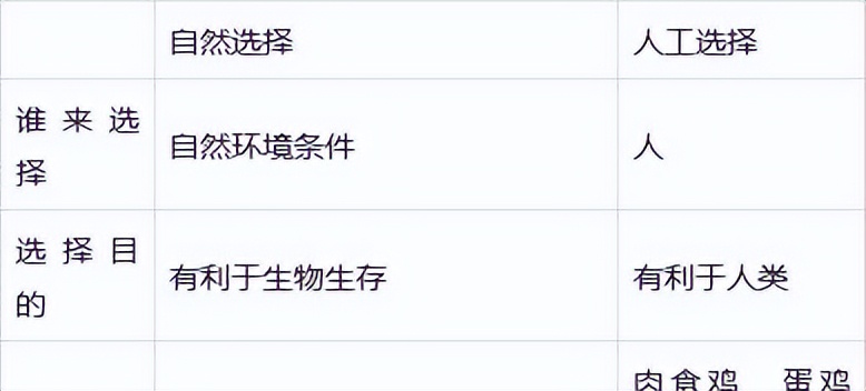 高中生物变异和育种知识点,高中生物变异育种进化思维导图