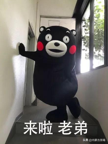 为什么吸毒后有被害妄想,吸毒患者大脑和正常人有区别吗