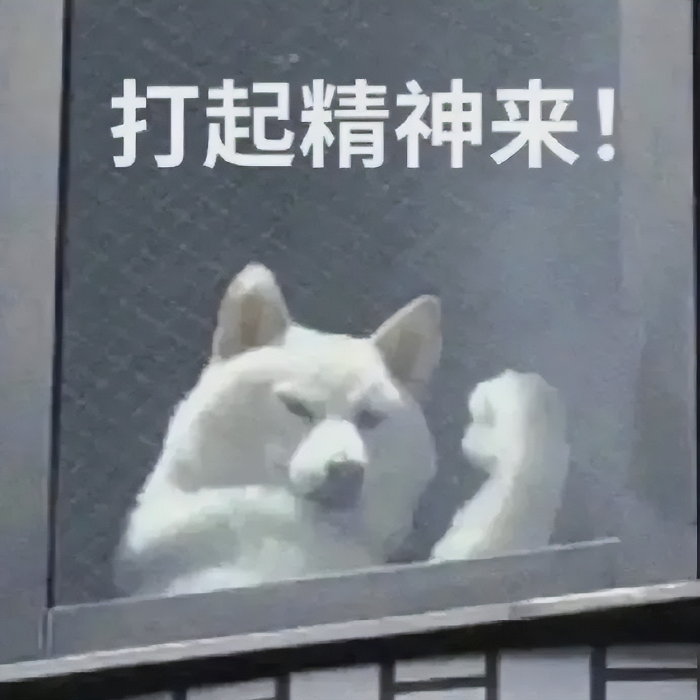 长安工厂员工优惠,东莞工厂福利