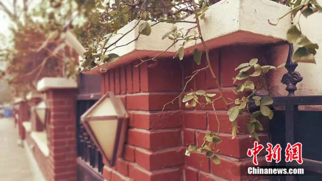 一定要和爱的人去一趟天津,这辈子总要去一次天津