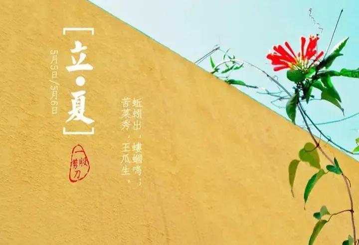 今日立夏简短文案大全100句,立夏简短文案祝福语