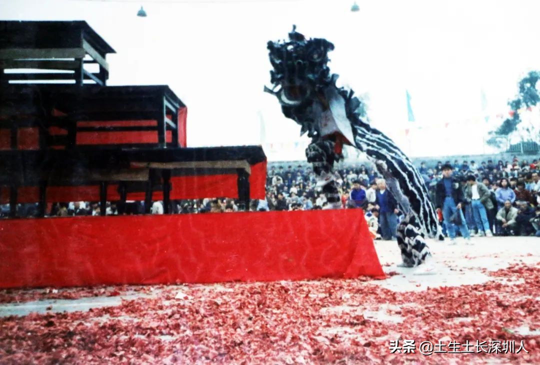 醒狮和瑞狮的区别在哪,醒狮的运动特点