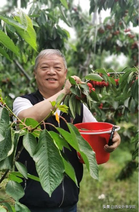 西安外事学院专科专业国际商务,西安外事学院商学院旅游管理宿舍