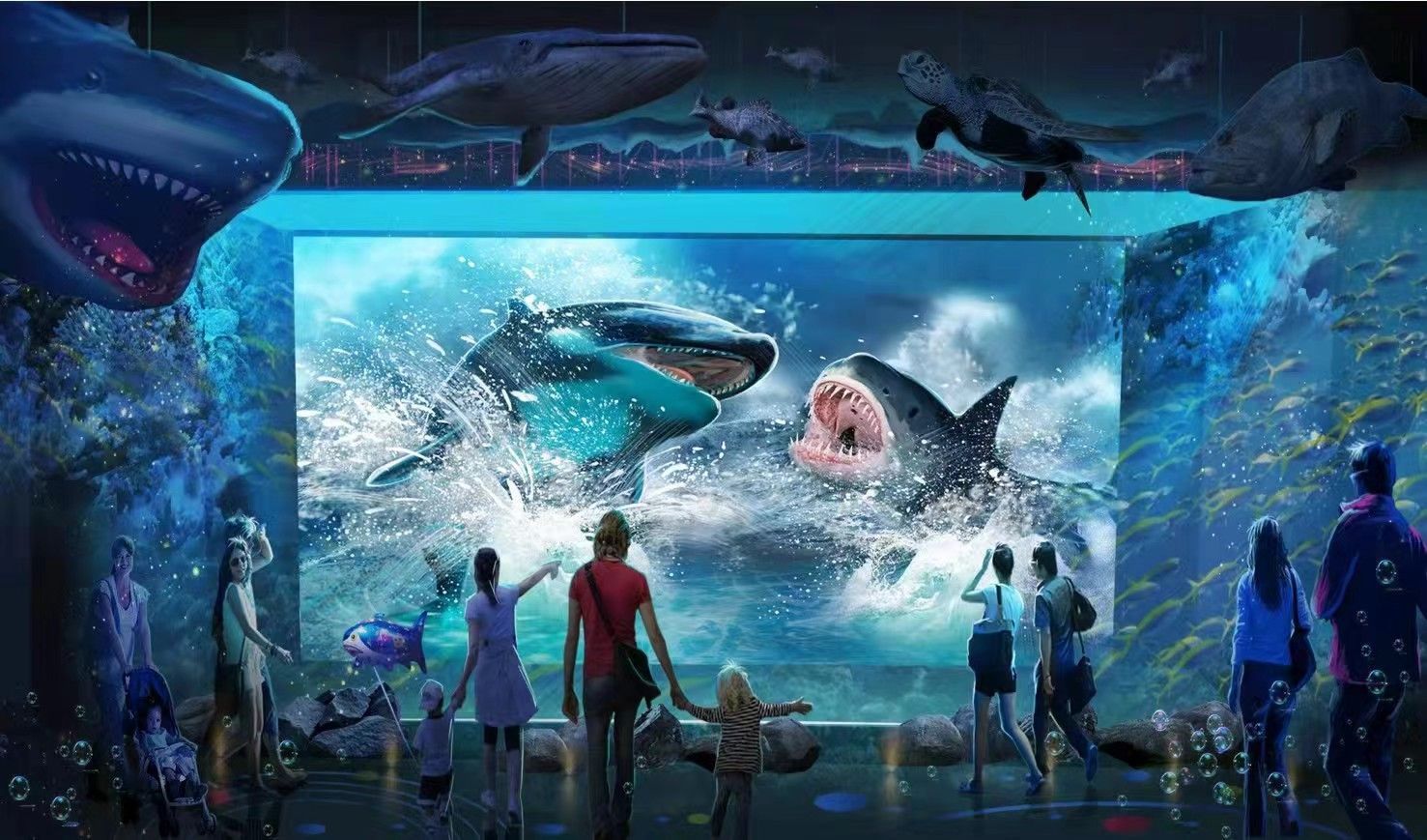 小梅沙海洋馆什么时候可以开,深圳海洋世界海洋馆开放了吗