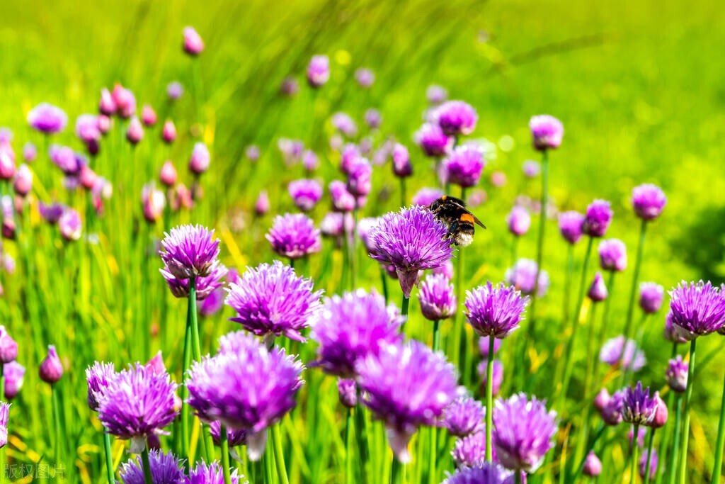 人生要善于捕捉机遇,善于抓住机遇的人比较高明