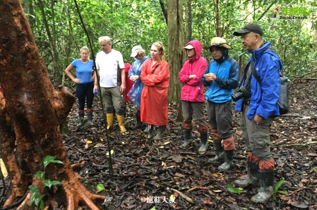一双拖鞋走遍东南亚,一双拖鞋走世界原版