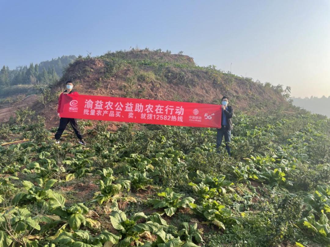 农产品产销对接小程序,农产品网上对接产销