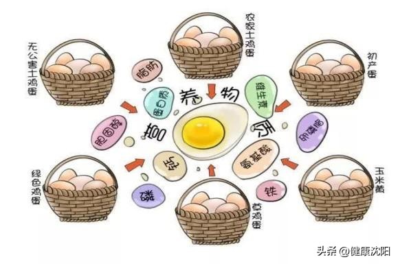 端午肾友饮食,肾友的夏日饮食