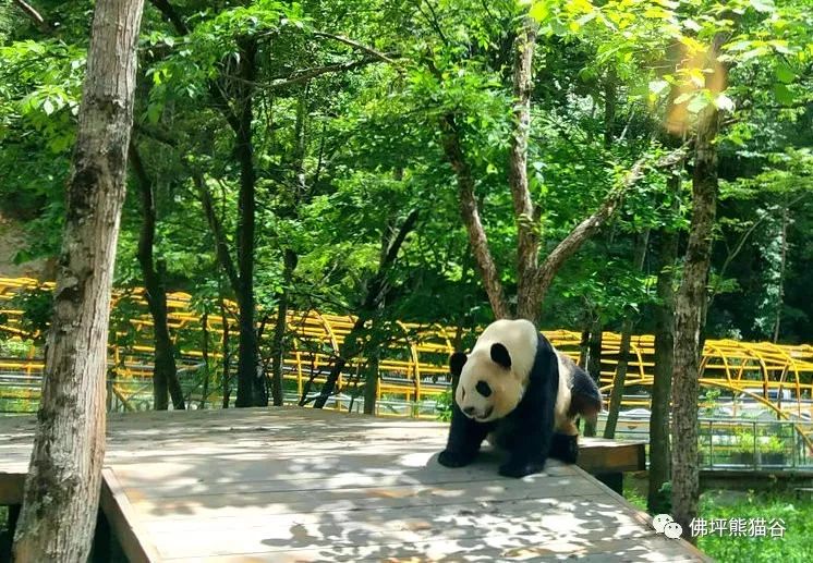 提醒幼儿注意身体六一,在汉中六一适合带孩子吃什么