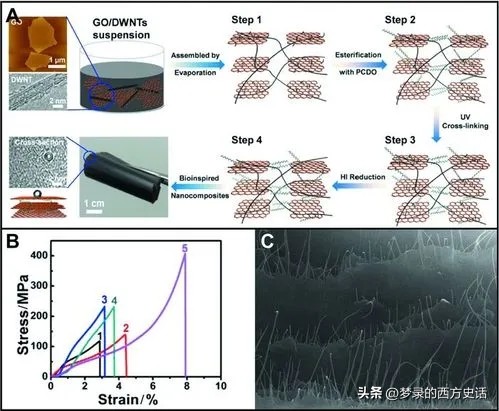 纤维素纳米晶体长宽比对所有CNC薄膜性能的影响被膜和木材CNC