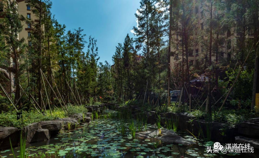 苏马荡美丽的风景,最美的小地方苏马荡