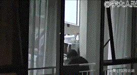 当初王菲和李亚鹏怎么走到一起的,王菲和李亚鹏怎么走到一起的