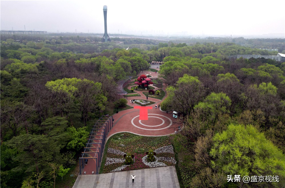沈阳世博园金秋美景,沈阳世博园一日游详细攻略
