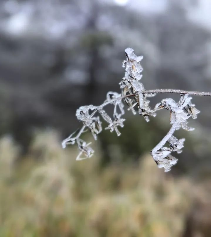 见过这么美丽的峨眉山雪景吗,峨眉山雪后美景简直就是人间仙境