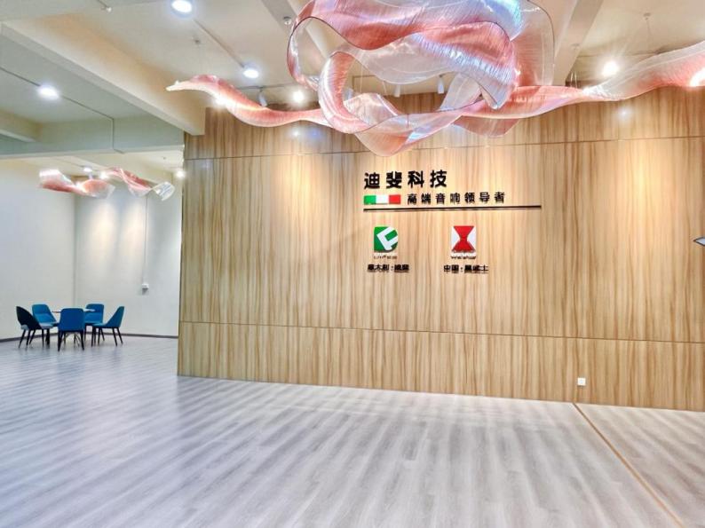 德国迪斐音响品牌,广州迪斐音响