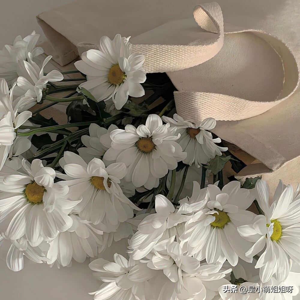 想努力赚钱的文案怎么写,写文案赚钱句子怎么写