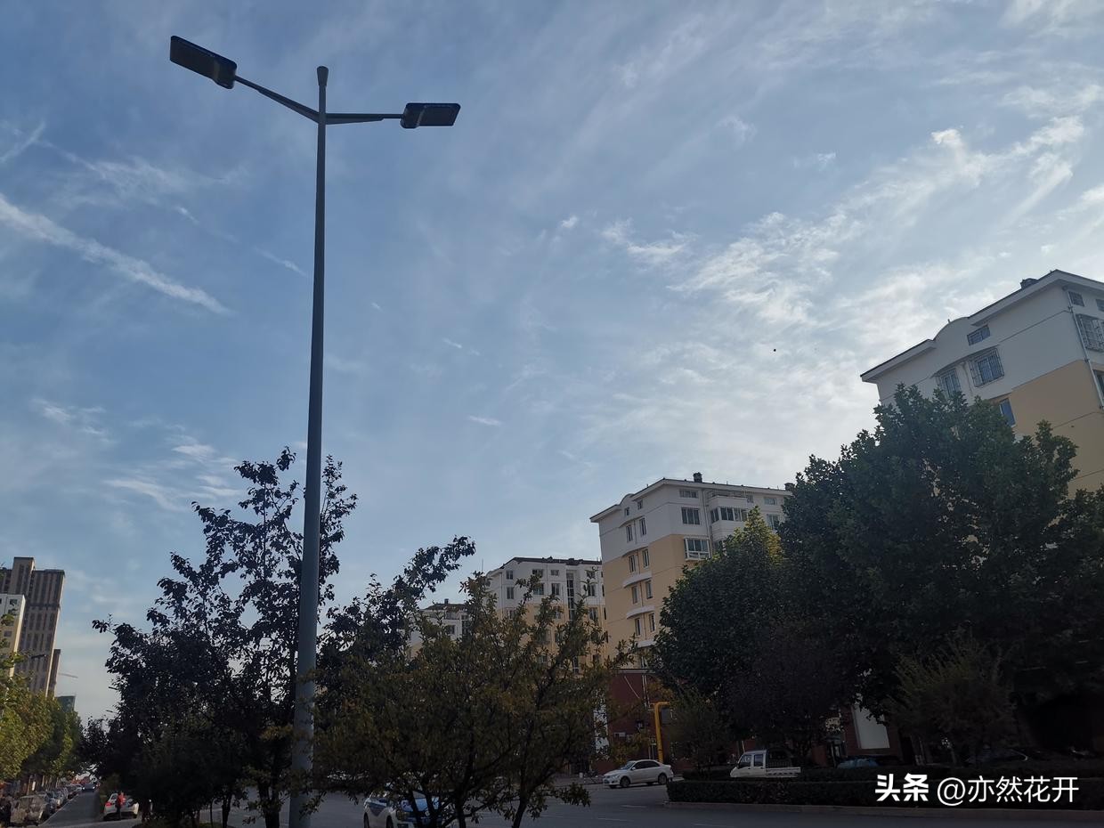 职场申请书的正确格式,职场必备辞职申请报告写作指南