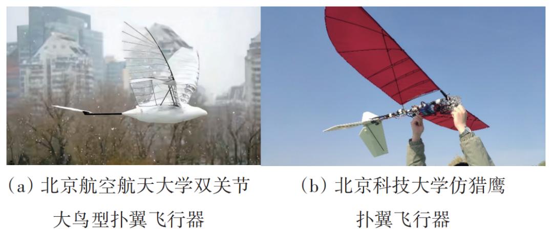 2022年无人机热点回眸|科技导报