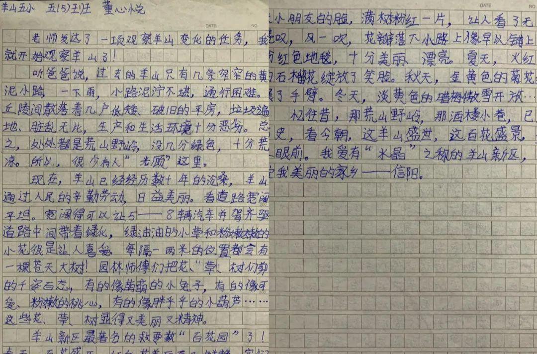 羊山新区十一小和羊山五小哪个好,羊山新区五小学校