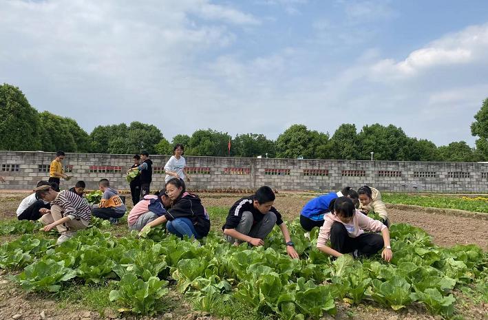 劳动实践教育基地体验劳动的快乐,一小劳动实践基地