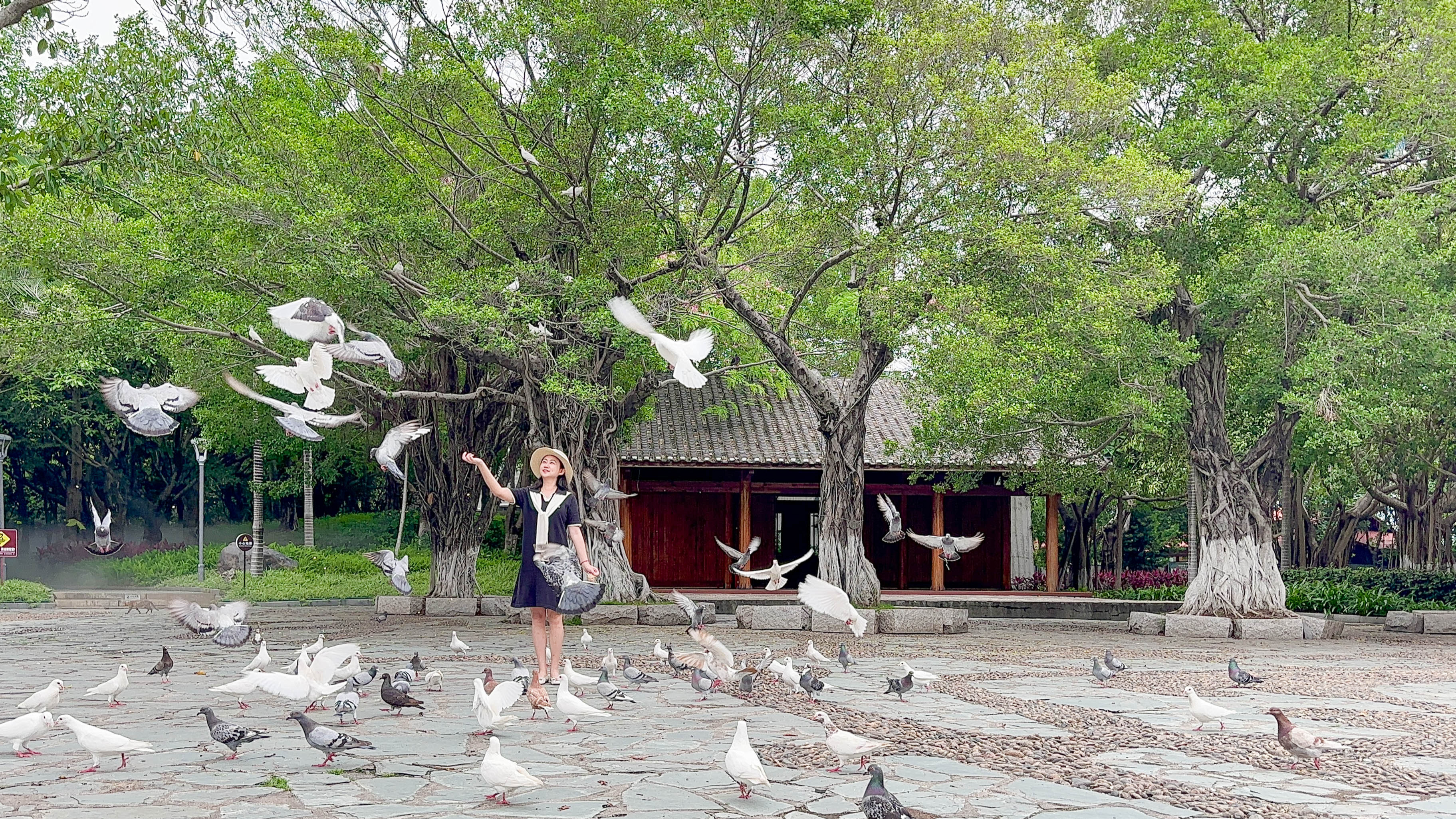 暑假去厦门鼓浪屿旅游攻略,厦门集美最适合带孩子去玩的地方