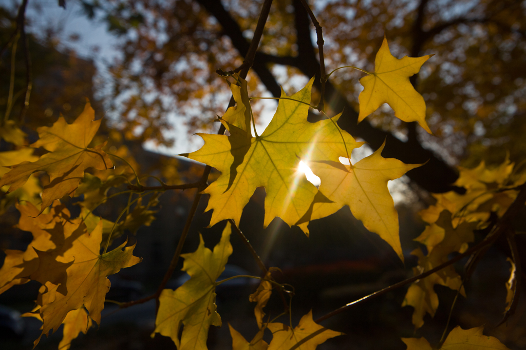 辽宁大学其实非常美，很多人都忽略了这些景色，你想来看看吗