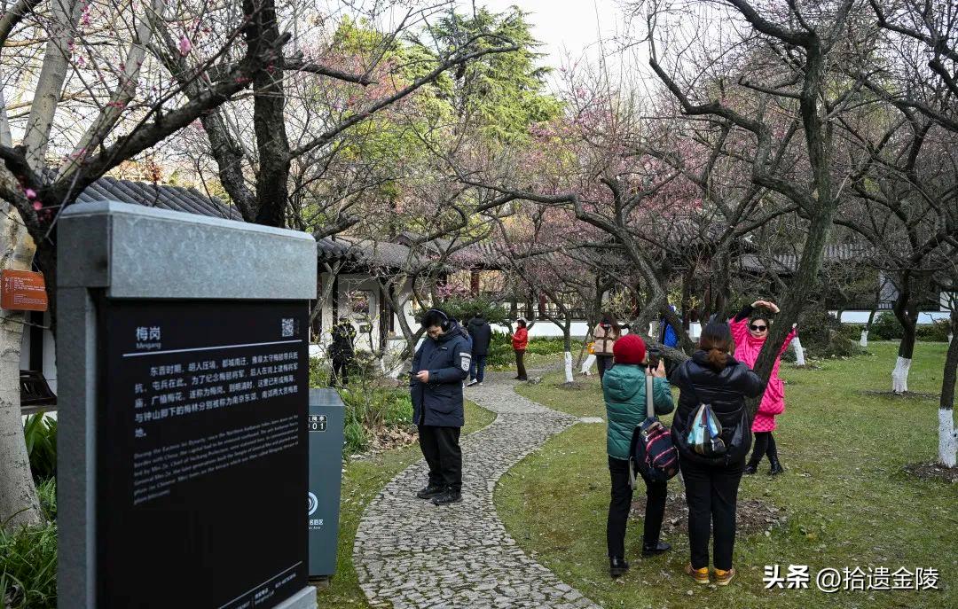南京看梅花的地方,南京梅花里房价