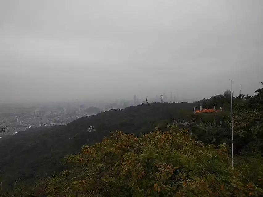 非洲尼日尔工作感触随笔