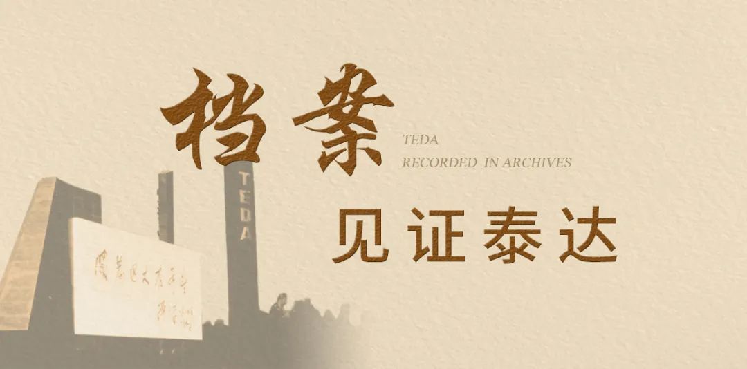 03年天津泰达,泰达档案