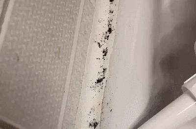 玻璃胶发霉怎么洗掉霉斑,玻璃胶发霉卫生妙招