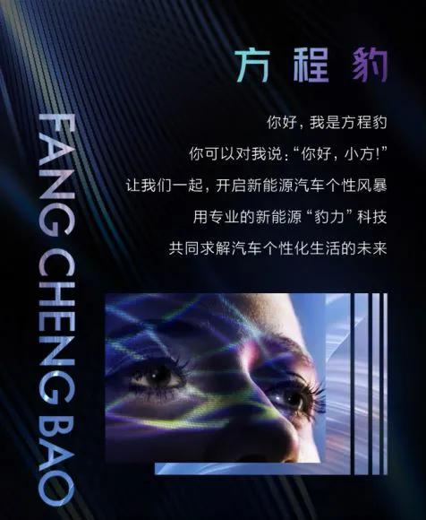 比亚迪f品牌上市时间,比亚迪f品牌最新消息