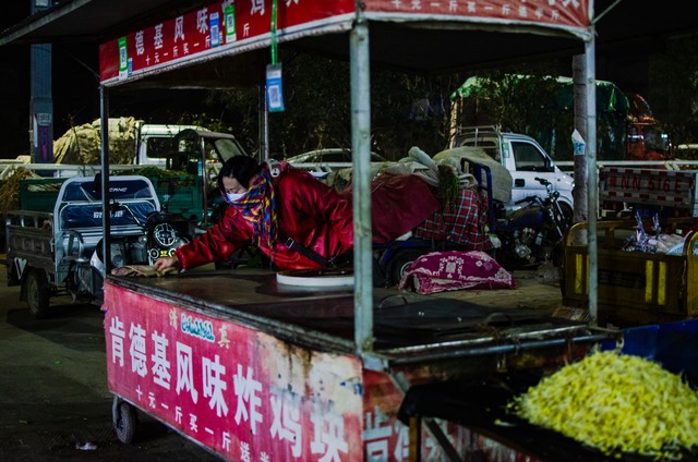 90后女孩放弃高薪回乡创业,90后姑娘创业月入八万