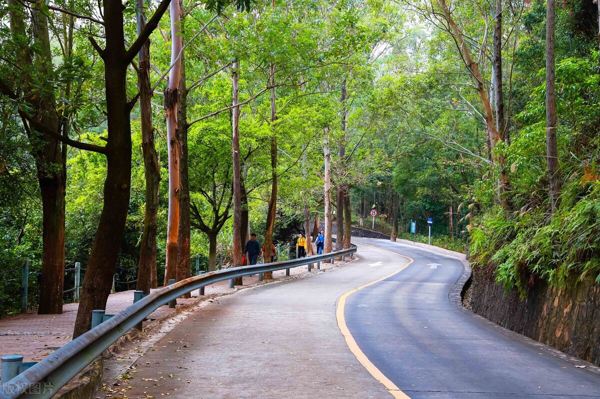 东莞市内旅游的景点都有哪些,东莞市里内特色游玩地方