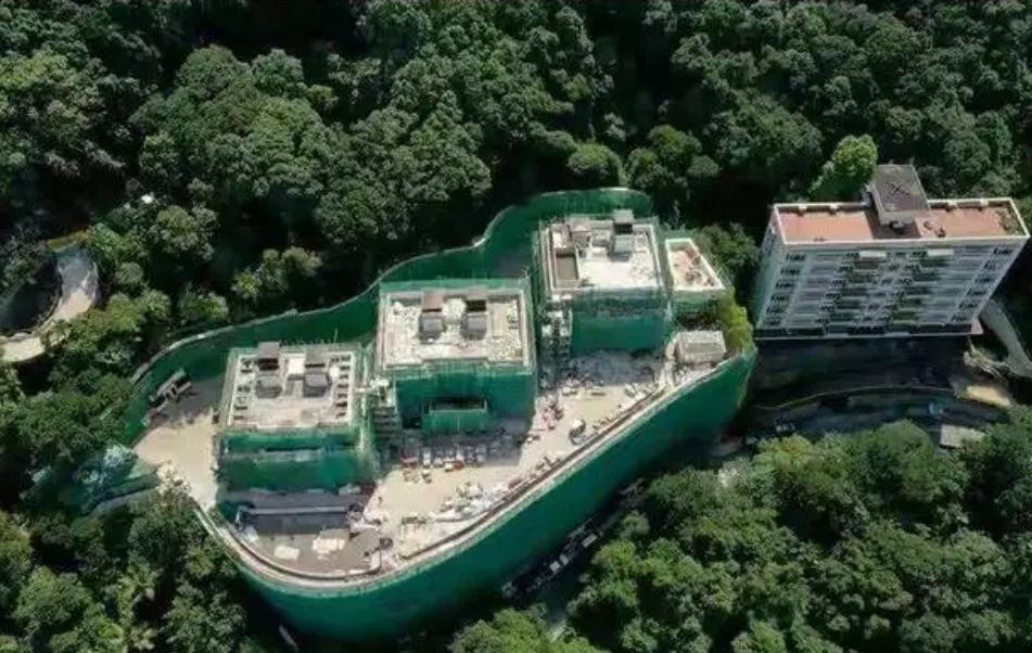 豪门儿媳生了三儿,豪门儿媳怀了四胞胎