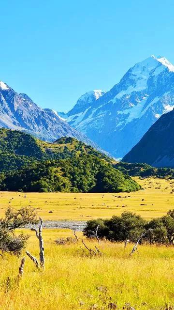 最近一个新的词汇又冒出头来“约死群”，这到底是个啥群体