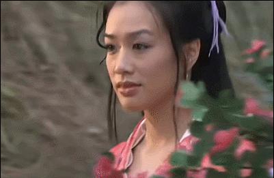 97版天龙八部段正淳和他的女人,97版天龙八部段正淳渣男片段